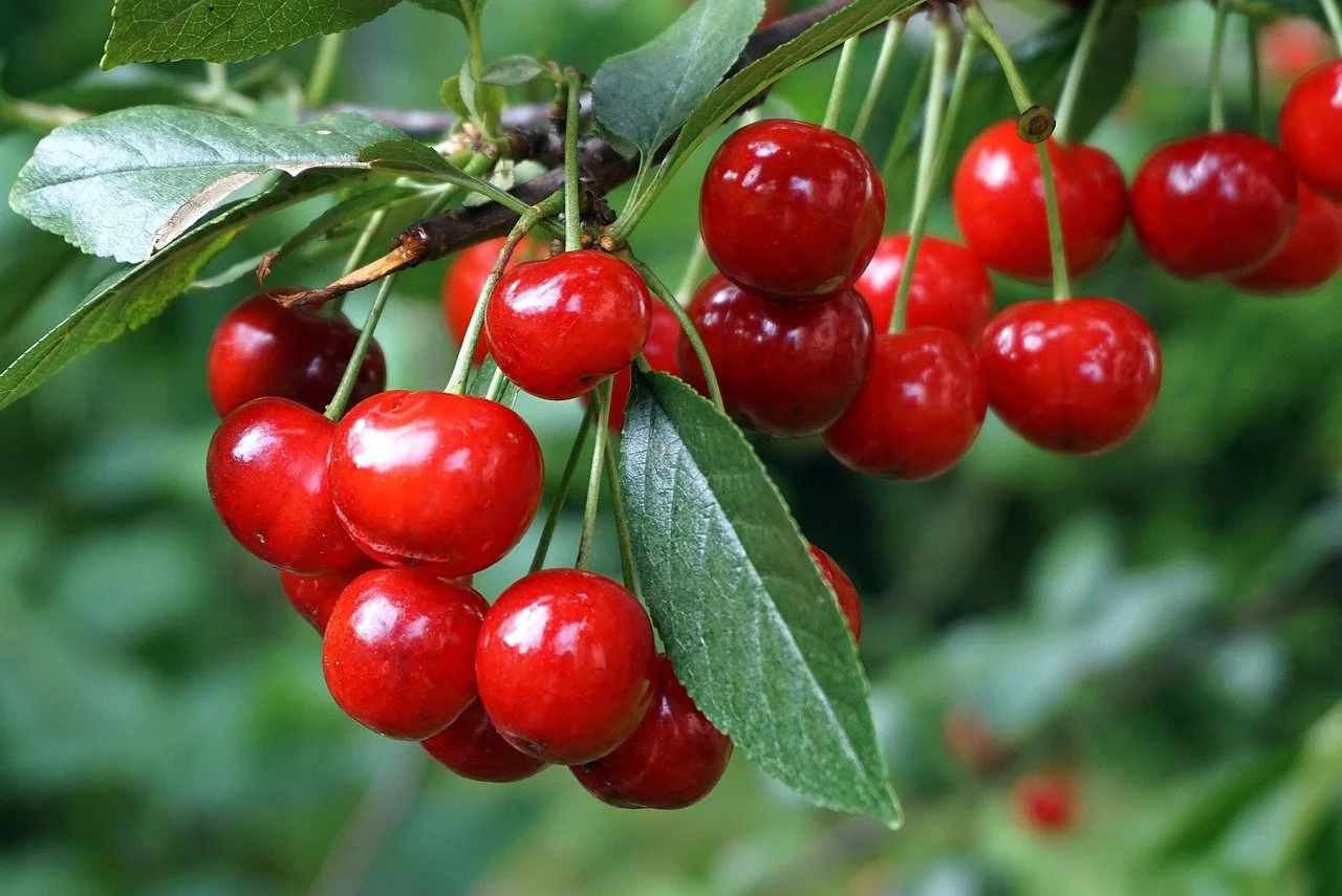 Artistic plating with glowing elements.